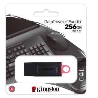 256GB USB3.2 Gen1 DTX/256GB Exodia KINGSTON
